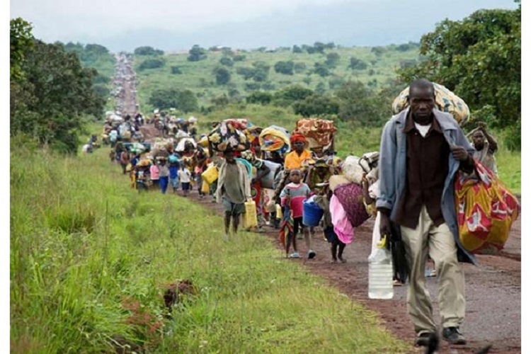 Serviço Jesuíta aos Refugiados Pede mais Atenção a Condição do Refugiado em Angola