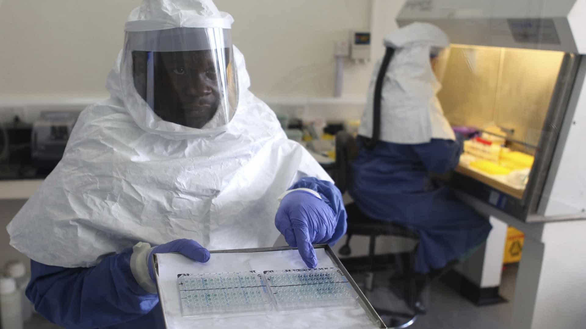 Vírus do Marburg volta a matar na África Ocidental
