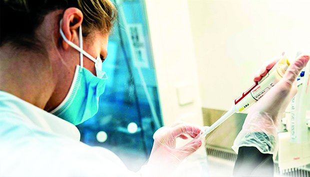 Investigação criminal apresenta meliantes