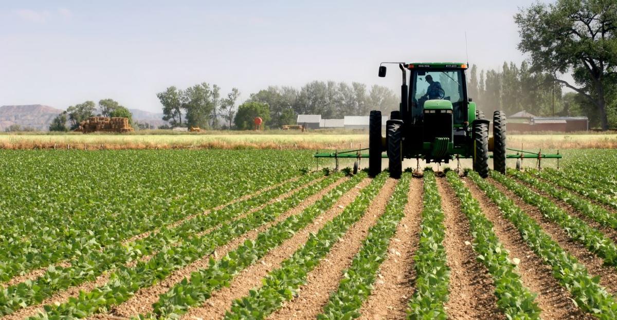 Empresas do agronegócio devem investir na tecnologia