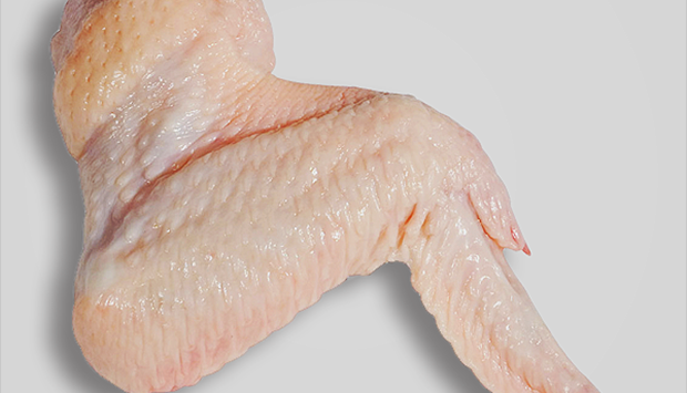 Governo proíbe importação de partes de frango e peru