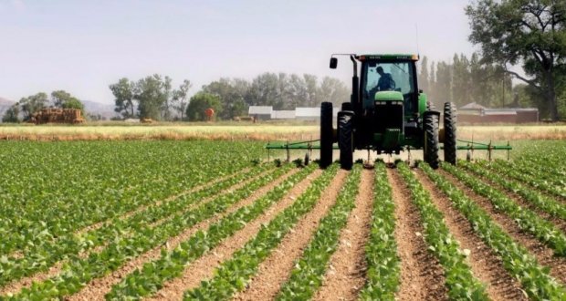 FGC emite garantias públicas a mais de 50 projectos de agricultura comercial