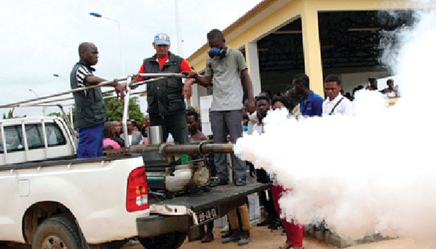 Luanda vai reforçar campanha de combate à malária
