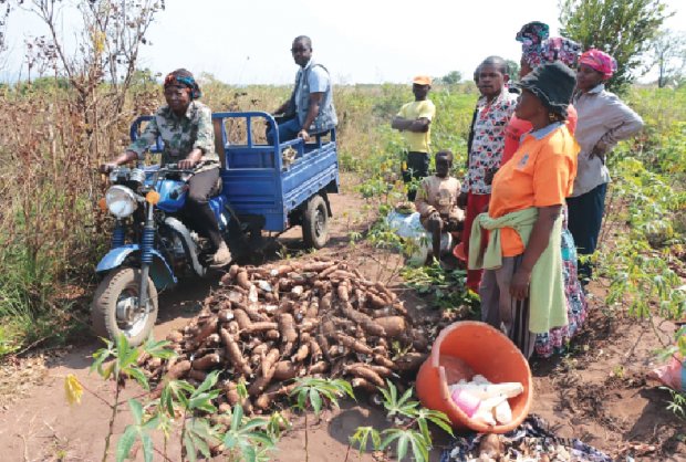 Angola acolhe mais de 55 mil refugiados e requerentes de asilo