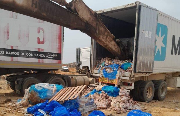 SIC destrói 20 toneladas de carne de porco impróprias para consumo