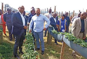 Produção agrícola está a impulsionar o crescimento económico de Angola