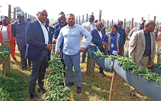 Produção agrícola está a impulsionar o crescimento económico de Angola